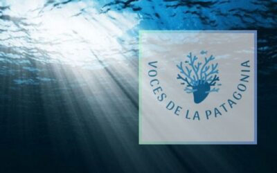 Segundo episodio de Voces de la Patagonia: «Los secretos bentónicos del fondo marino del sur del mundo»